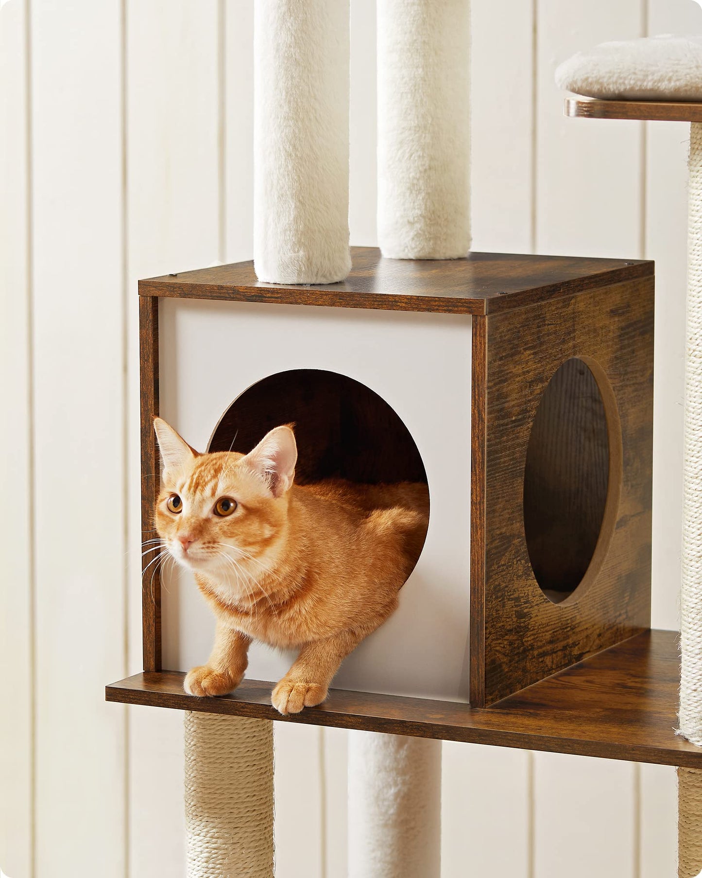 Feandrea WoodyWonders Cat Tree, 65-Inch Modern Cat Tower for Indoor Cats, Multi-Level Cat Condo with 5 Scratching Posts, Perch, Washable Removable Cushions, Cat Furniture, Rustic Brown UPCT166X01