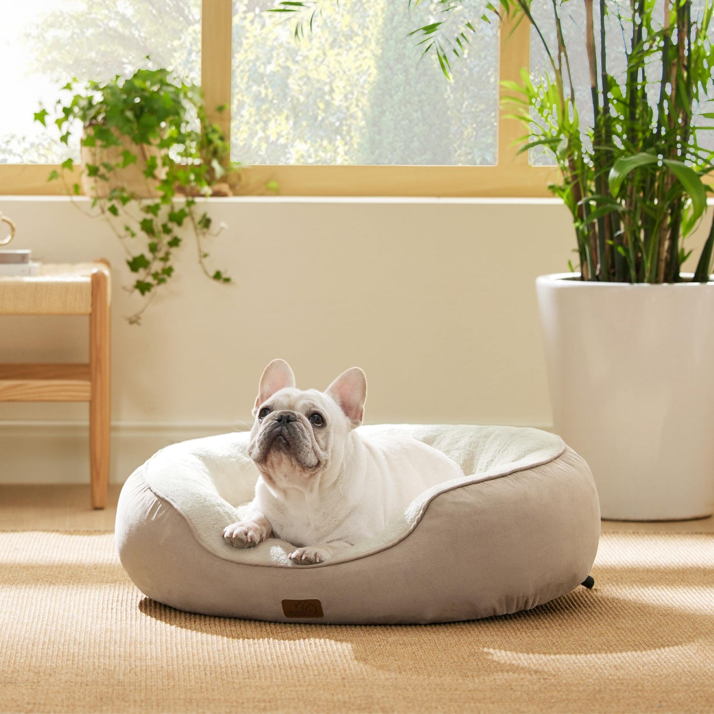 Bedsure Dog Beds for Small Dogs - Round Cat Beds for Indoor Cats, Washable Pet Bed for Puppy and Kitten with Slip-Resistant Bottom, 25 Inches, Sachet Pink