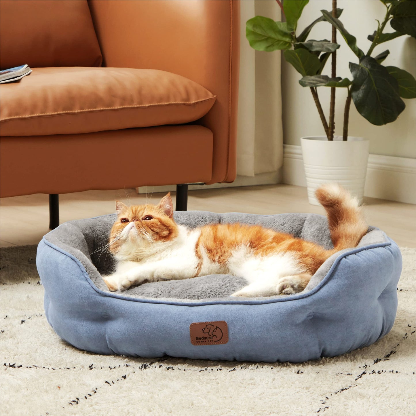 Bedsure Dog Beds for Small Dogs - Round Cat Beds for Indoor Cats, Washable Pet Bed for Puppy and Kitten with Slip-Resistant Bottom, 25 Inches, Sachet Pink